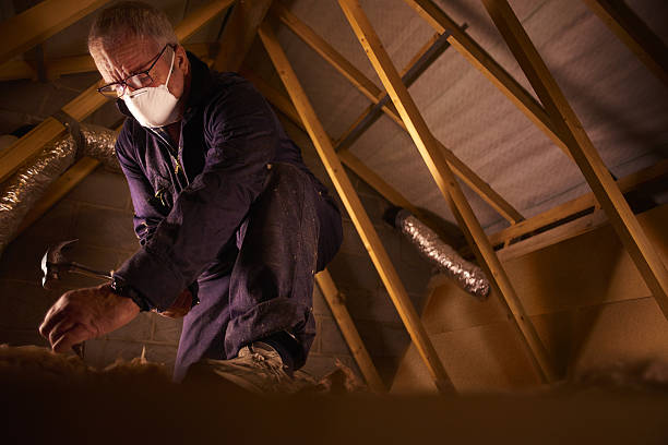Best Eco-Friendly Insulation in East Providence, RI